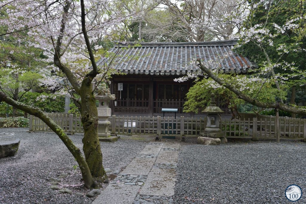 [Heisei#13] Cherry blossoms, surfers and the Great Buddha in Kamakura ...